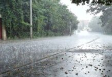দুপুরের মধ্যে ১১টি অঞ্চলে বজ্রবৃষ্টি হতে পারে